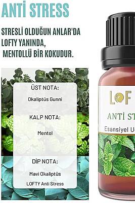 Anti Stress Uçucu Yağ Buhurdanlık Esansı Oda Kokusu Uçucu Esansiyel Yağ Buhur Yağı 10ML - 4